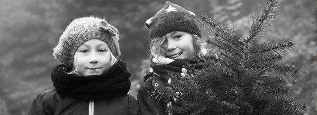 Postkartenreihe - discover yourself