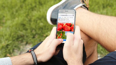Person hält Smartphone mit geöffneter Ernteretter Ortenau Facebook-Seite und Bildern von Erdbeeren und Tomaten