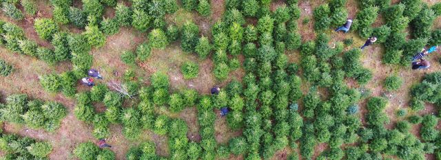 Faltplakat - discover yourself