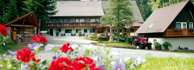 Postkartenreihe - discover yourself