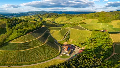 Luftaufnahme von sanften Hügeln mit Weinbergen und einem kleinen landwirtschaftlichen Gebäude.