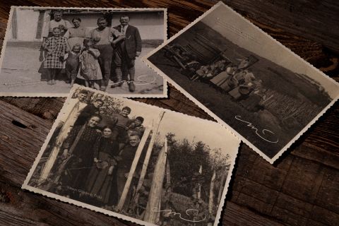 Drei Postkarten mit alten, schwarz-weißen Bildern.