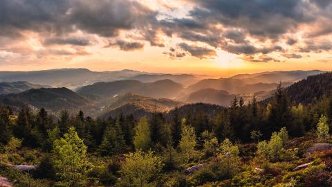 Eine malerische Ansicht von bewaldeten Hügeln bei Sonnenuntergang. Die Szene ist in weiche, goldene Lichtstrahlen getaucht, die über die Baumkronen und die Täler fallen. Der Himmel ist leicht bewölkt, was zur friedlichen Atmosphäre beiträgt.