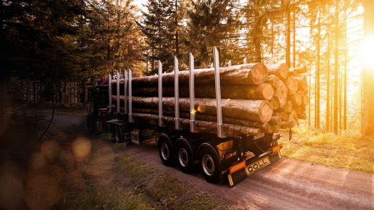 DOLL Sattelauflieger im Wald mit Holz beladen